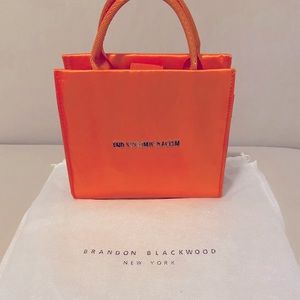 Brandon Blackwood ESR mini tote